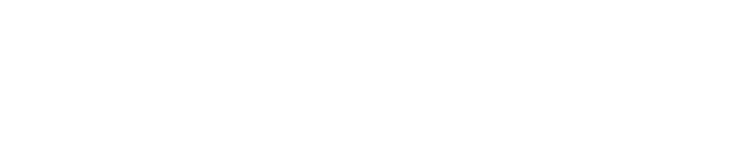 ByteNexa